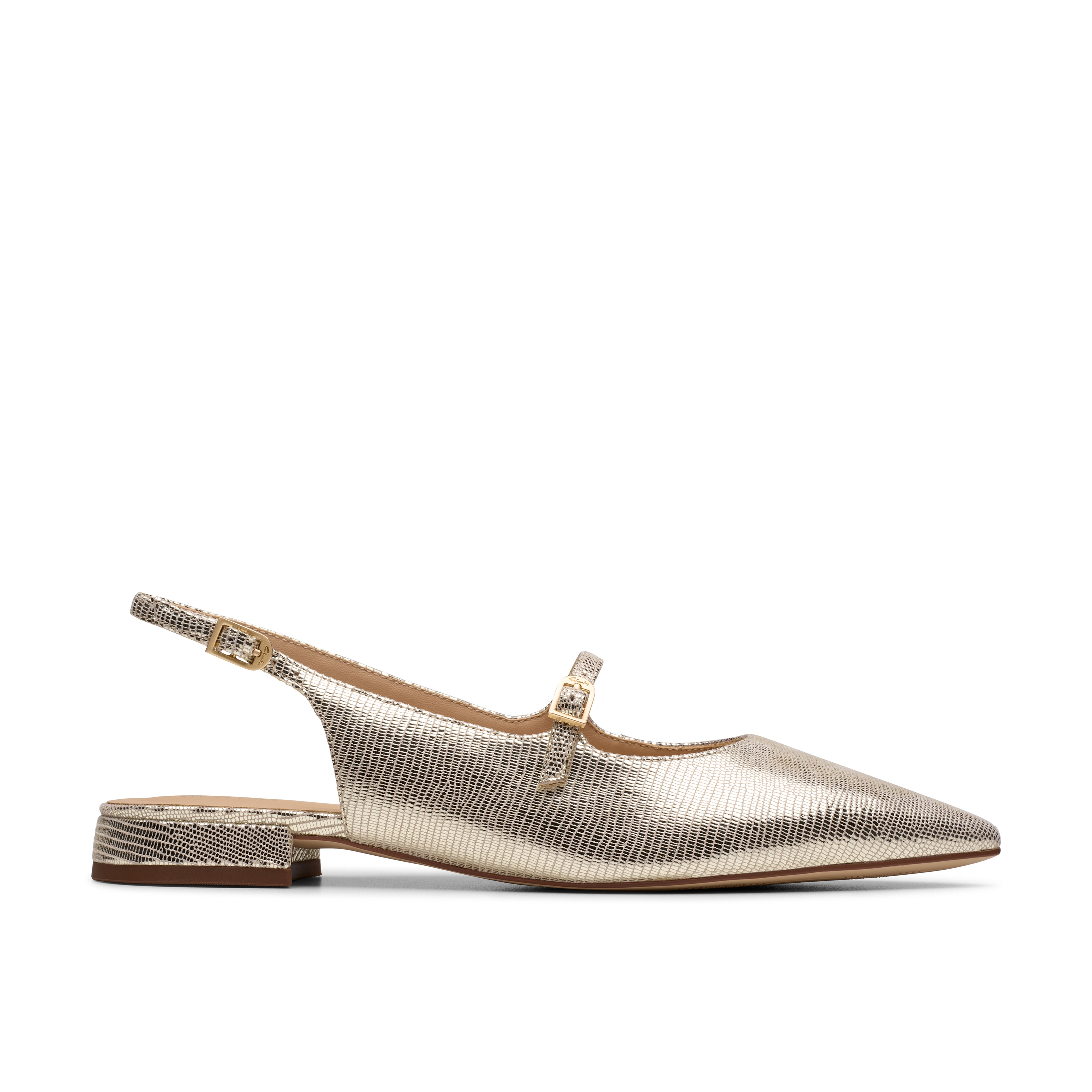 Sensa15 Shine Champagne Int
